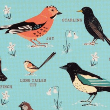 All About the Birds!