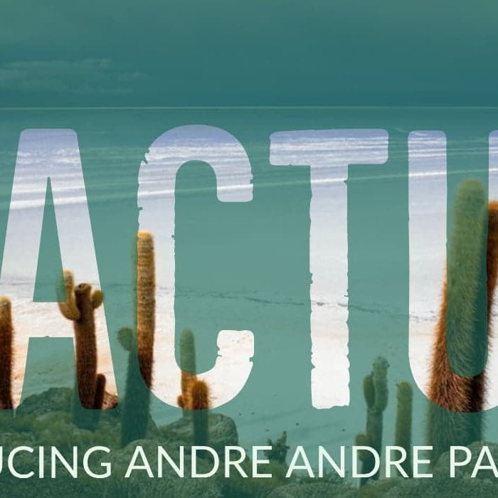 Meet…Andre Andre - A Cactus with Attitude!